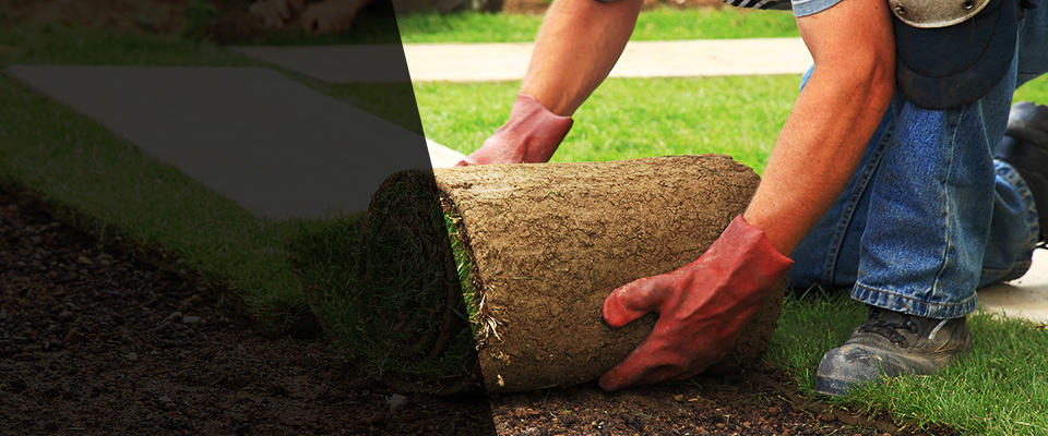 Carbondale Landscapers